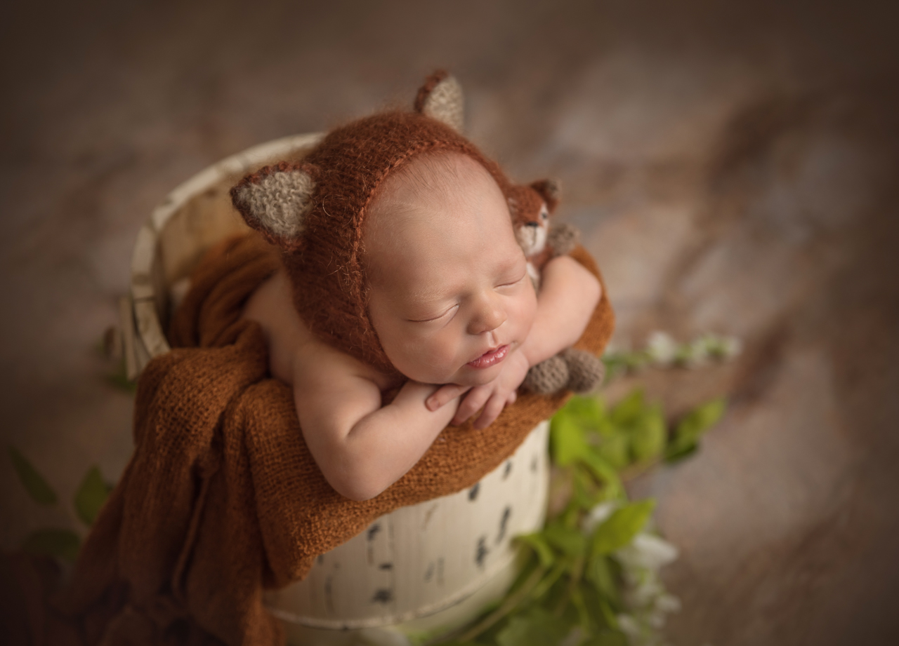 Creative newborn photography session in North Ogden with baby boy dressed in fox hat, curled in rustic birchwood bucket surrounded by greenery